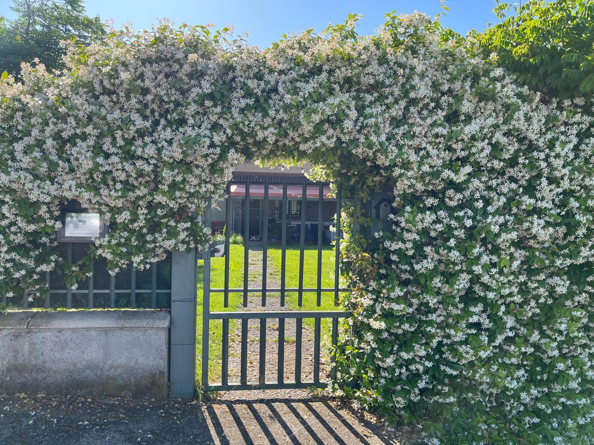 Willa Garda Art&Garden Volta Mantovana Zewnętrze zdjęcie